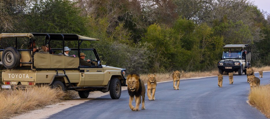 Kruger National Park South Africa